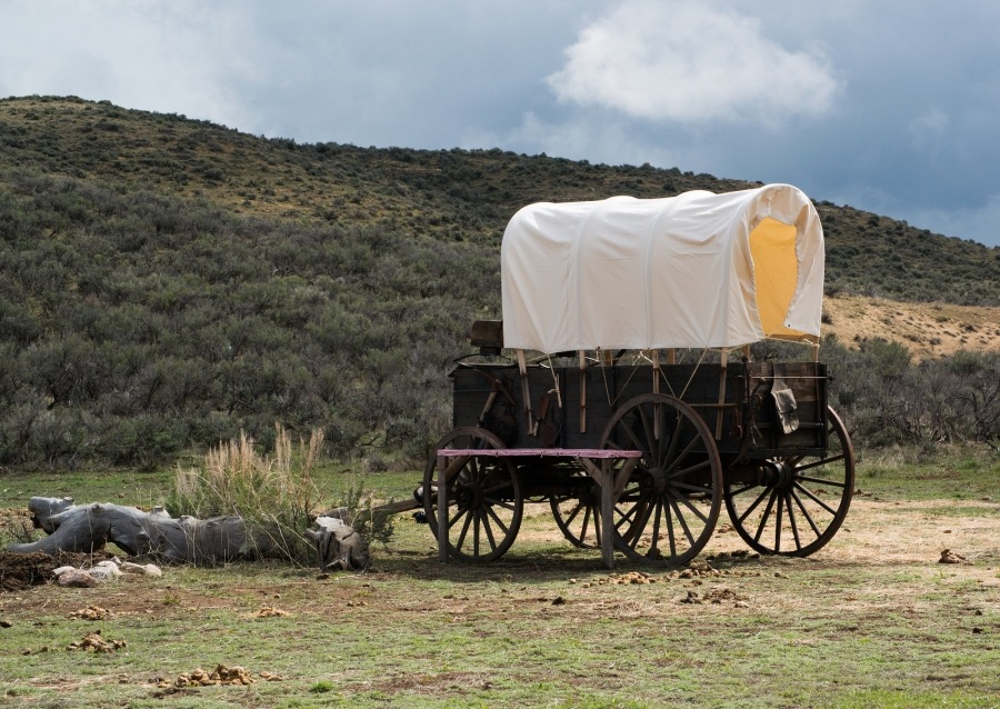 1866:  Cowboys met karavanen
