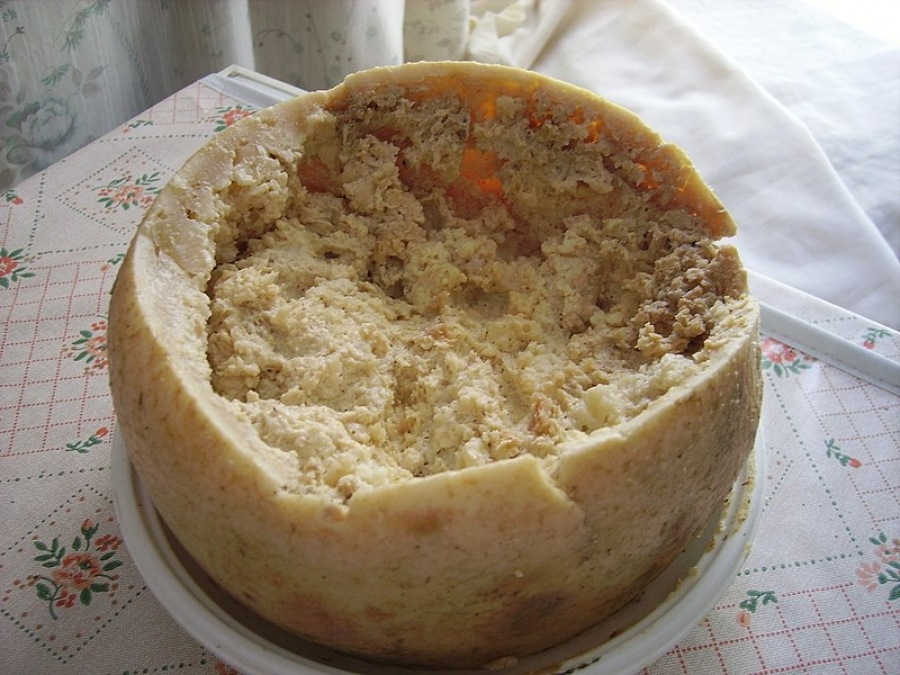 Casu Marzu, Sardinië 